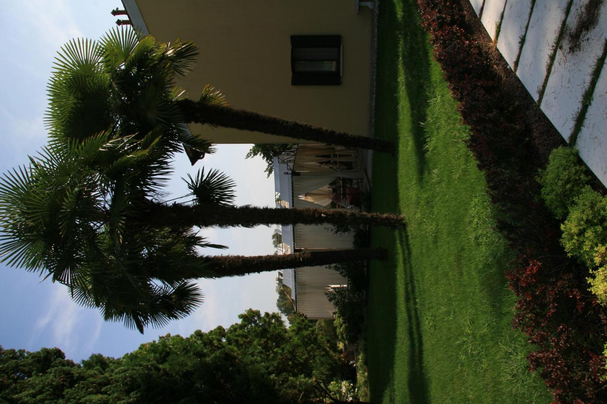 Hotel La Rescossa Mira Exteriér fotografie